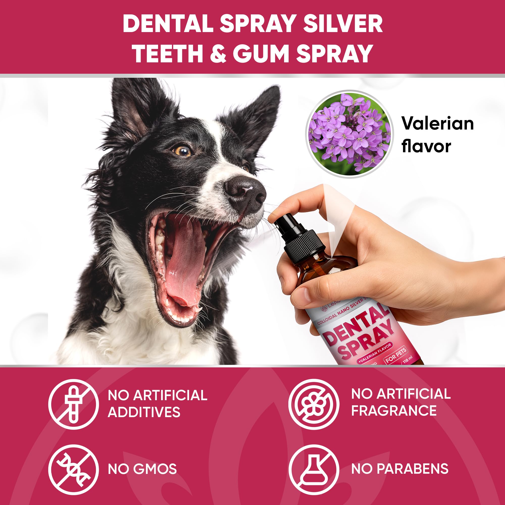 LeAcademic spray dental uso cepillo dientes, puede aplicarse sobre cepillo para limpiar.
