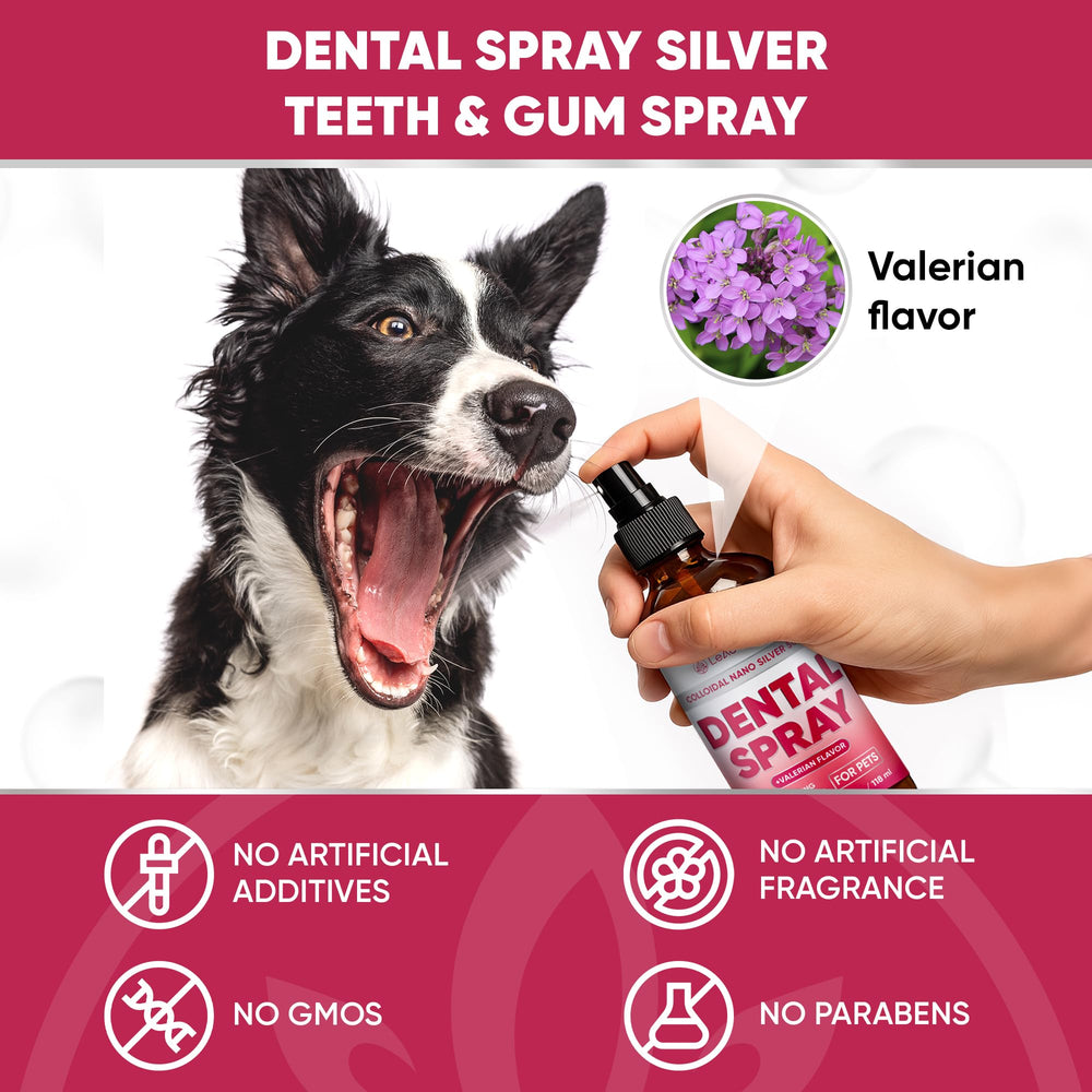 LeAcademic spray dental uso cepillo dientes, puede aplicarse sobre cepillo para limpiar.