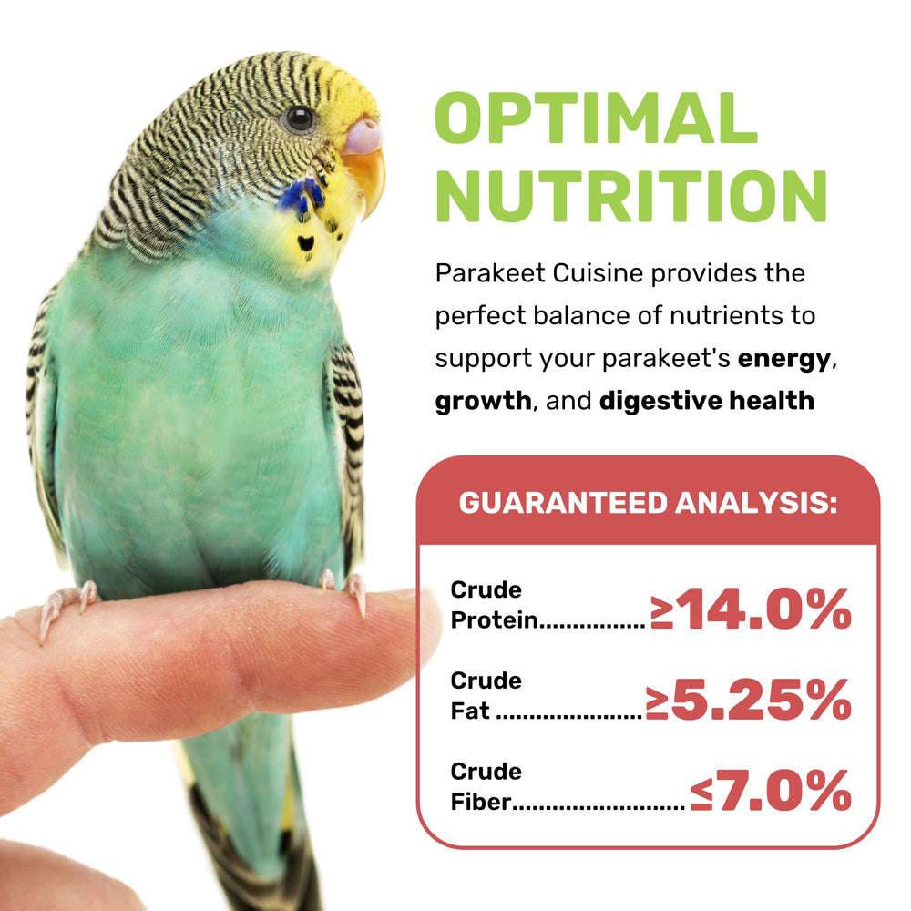 LEACH Parakeet Cuisine: mezcla de granos y semillas para inmunidad y digestión.