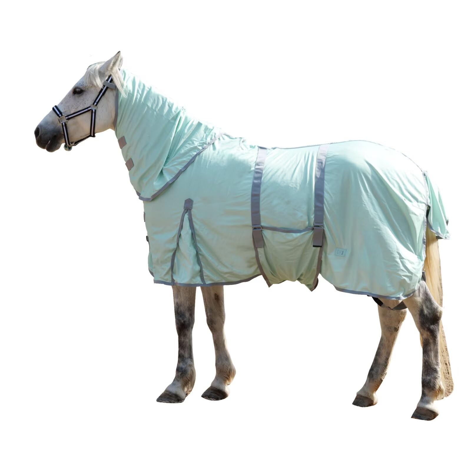 LEAFOREST caballo con malla antiinsectos verde, protección ligera y ventilación.