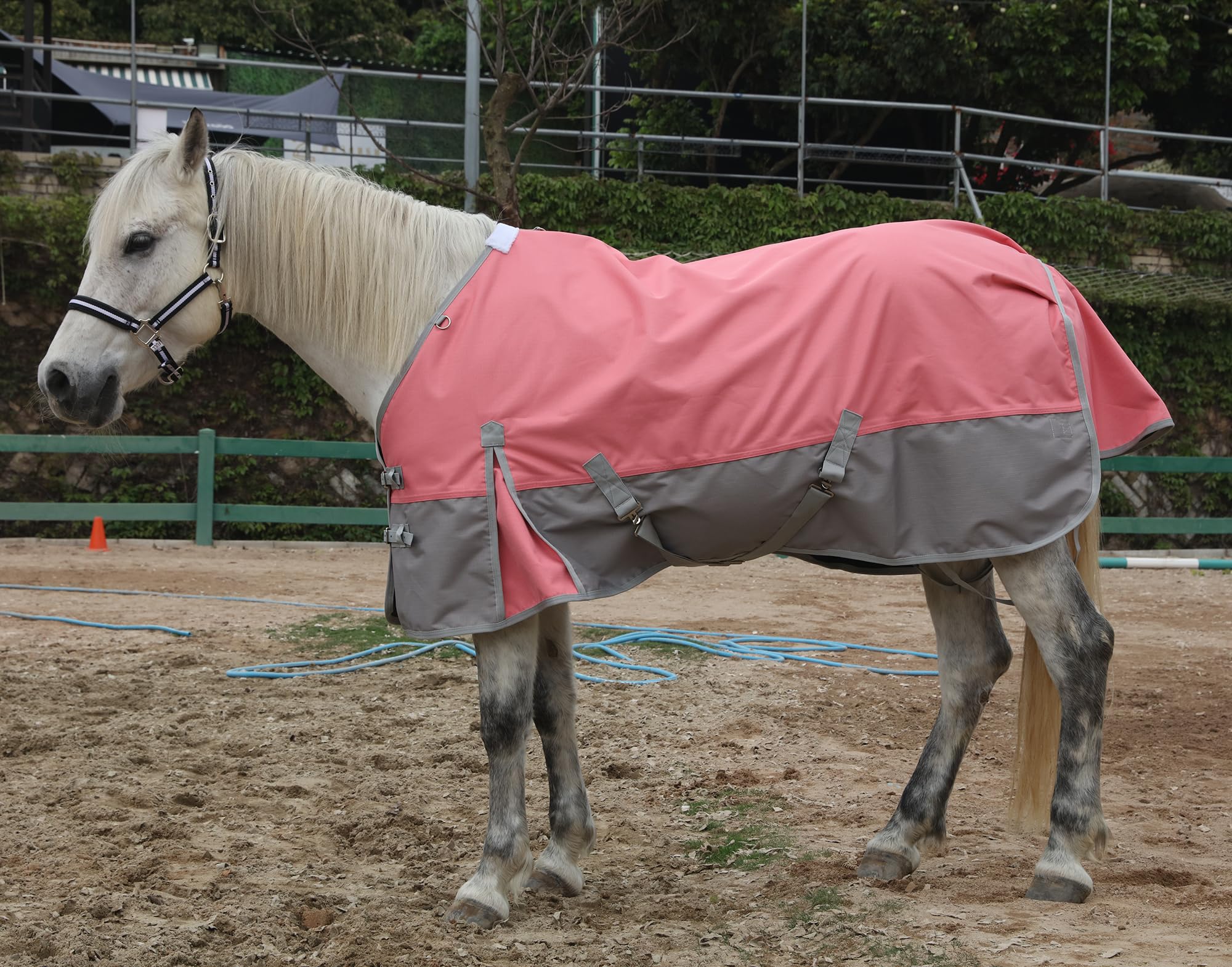 LEAFOREST cobertor caballo lavado en frío facilita mantenimiento