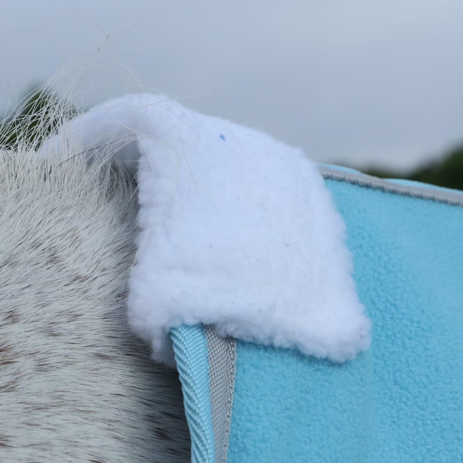 LEAFOREST manta de pelo polar, ajuste seguro en pecho y vientre para caballos activos