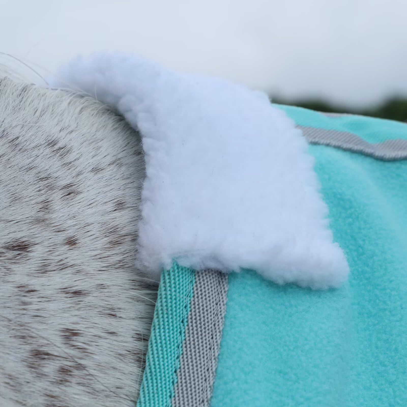 Leaeforest manta polar, tejido respirante para mantener seco al caballo.