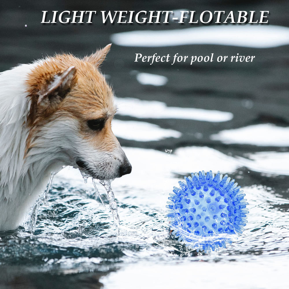 Juguete LECHONG con chirriador interno para juego audible.