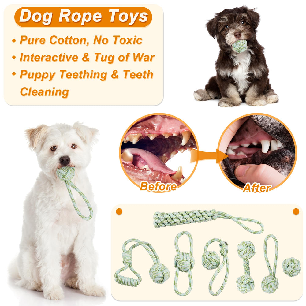 LECHONG juguete chirriante para perros pequeños, promueve juego activo y atención sostenida.