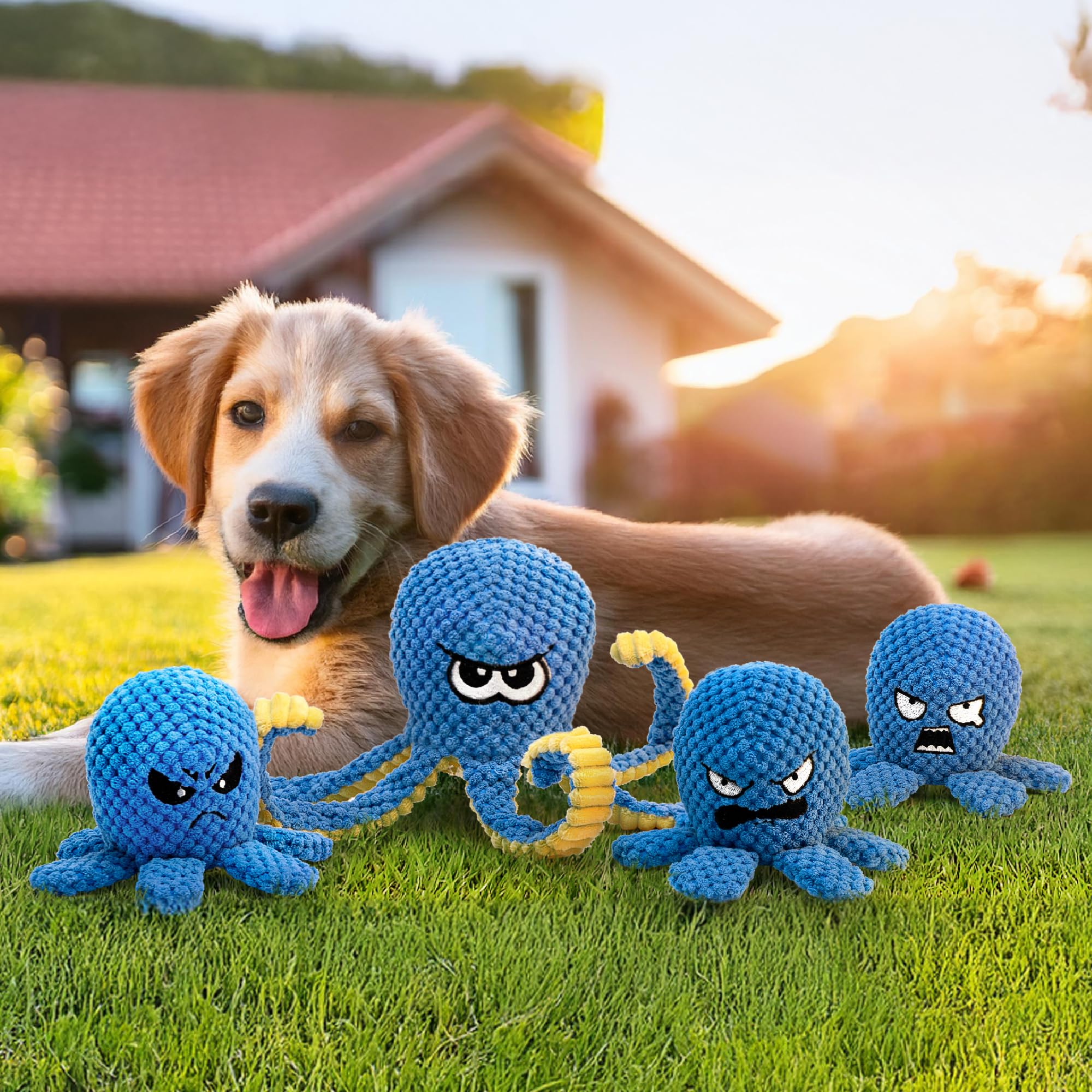 LEGEND SANDY ideal para familias con varios perros.