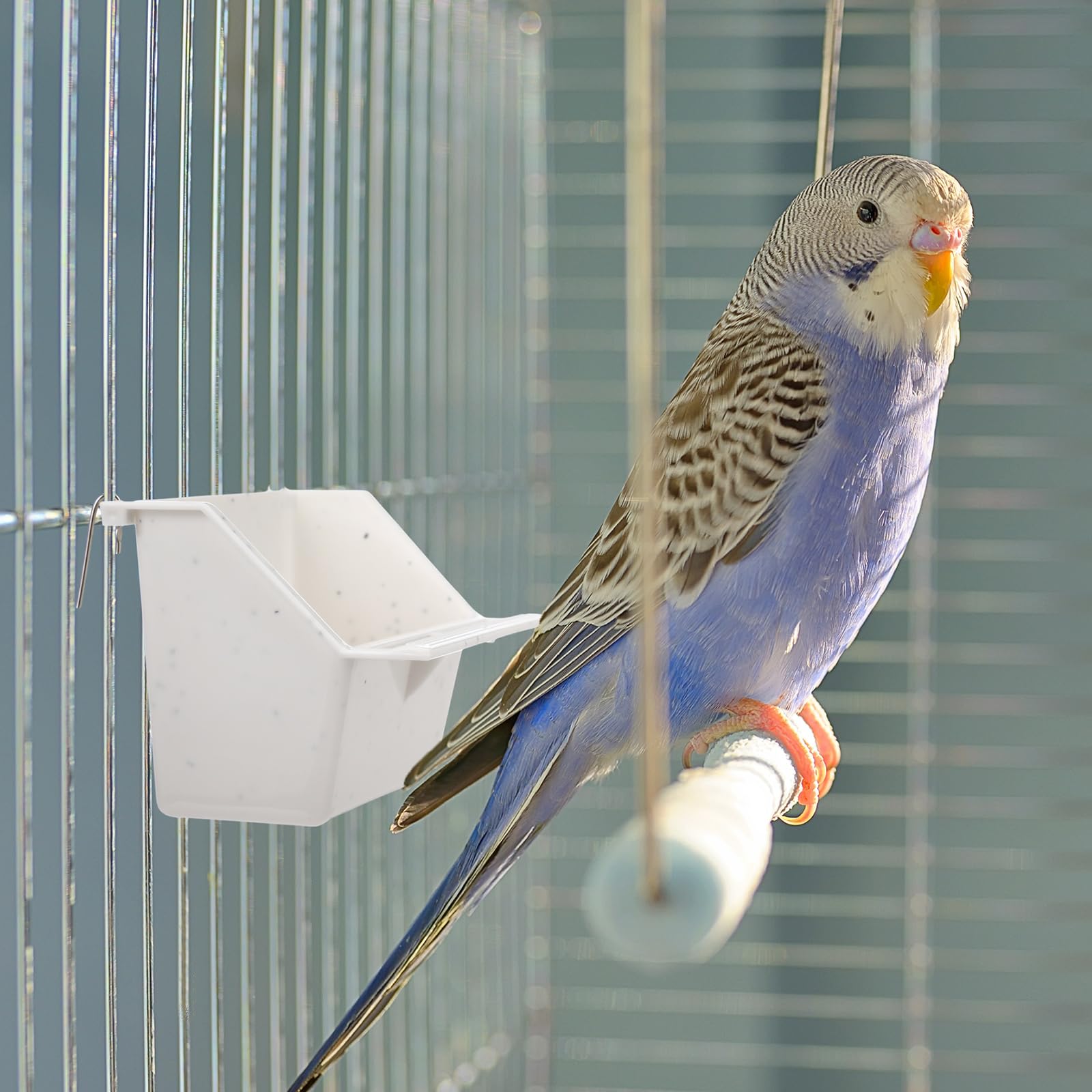 LemonRoad instalación jaula aves, alas extensas para fijación rápida