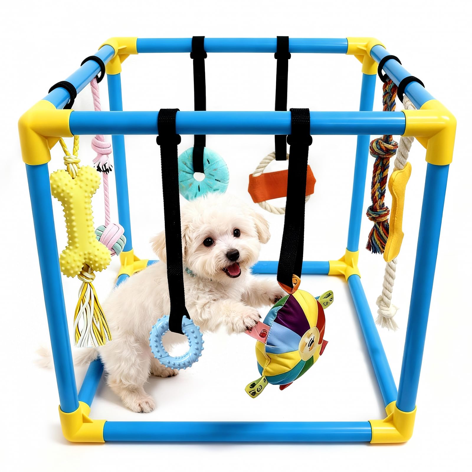 Gimnasio LemSen para cachorros con juguetes colgantes fomenta juego independiente seguro