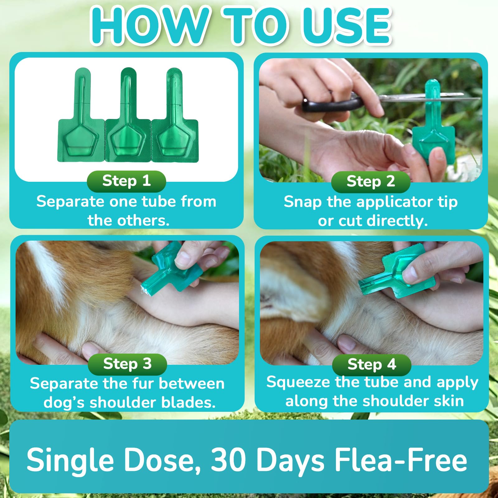 Lerqua: protección de hasta seis meses para perros pequeños.