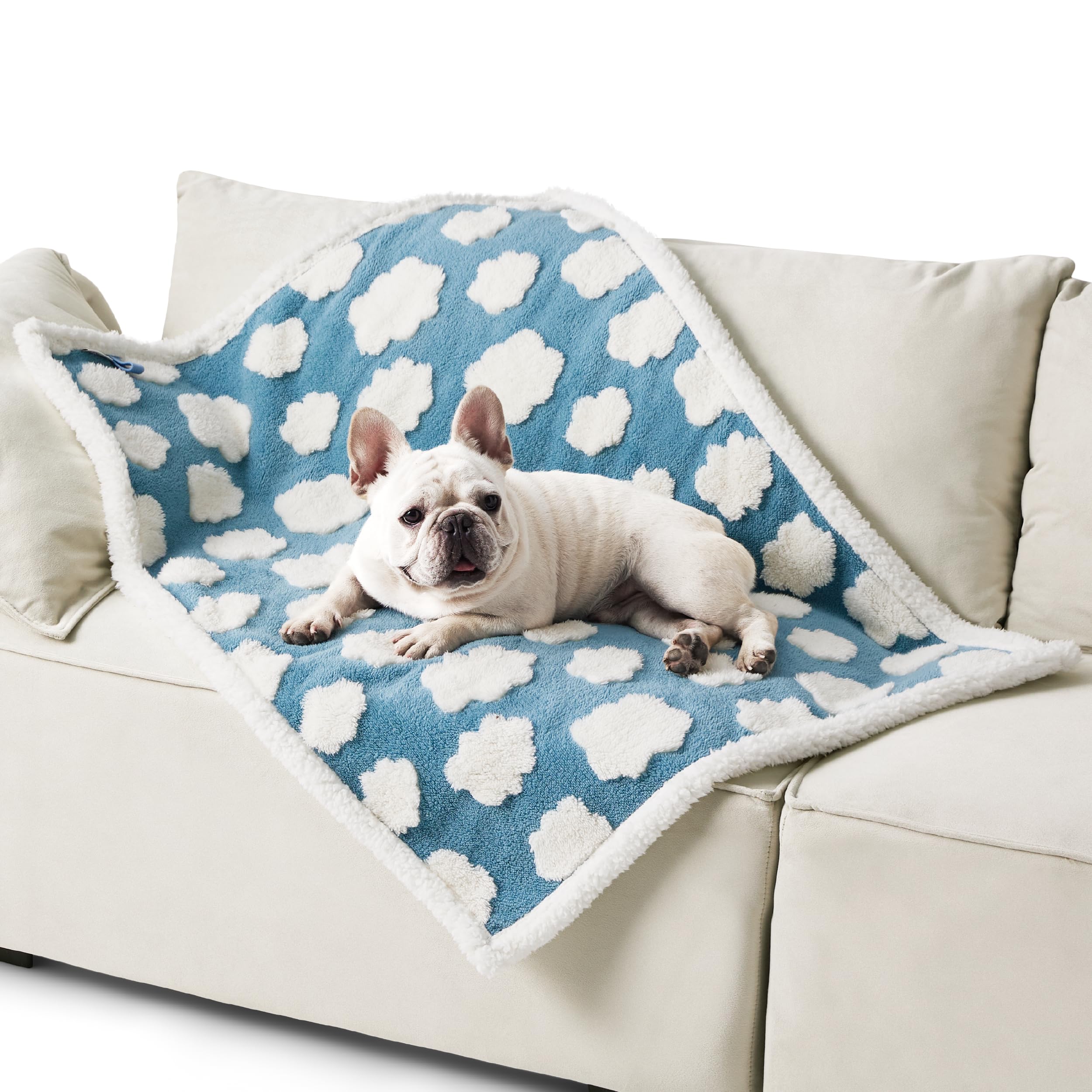 Manta impermeable LE SURE para perros, protege sofá y mantiene limpia la estancia.