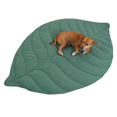Manta Letalong en forma de hoja sobre el sofá, protección y confort para tu mascota.