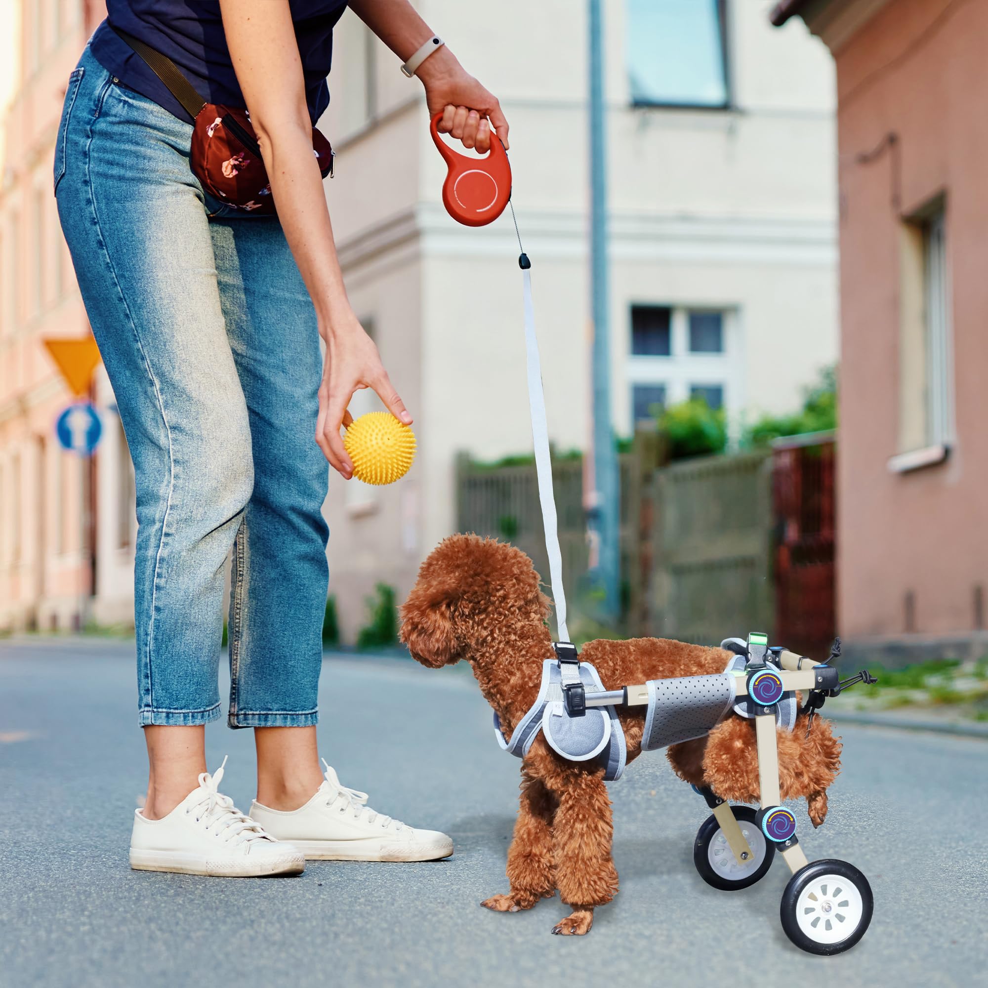 LetPetRun Silla de ruedas para perro, sistema de seguridad con cinturon para paseos