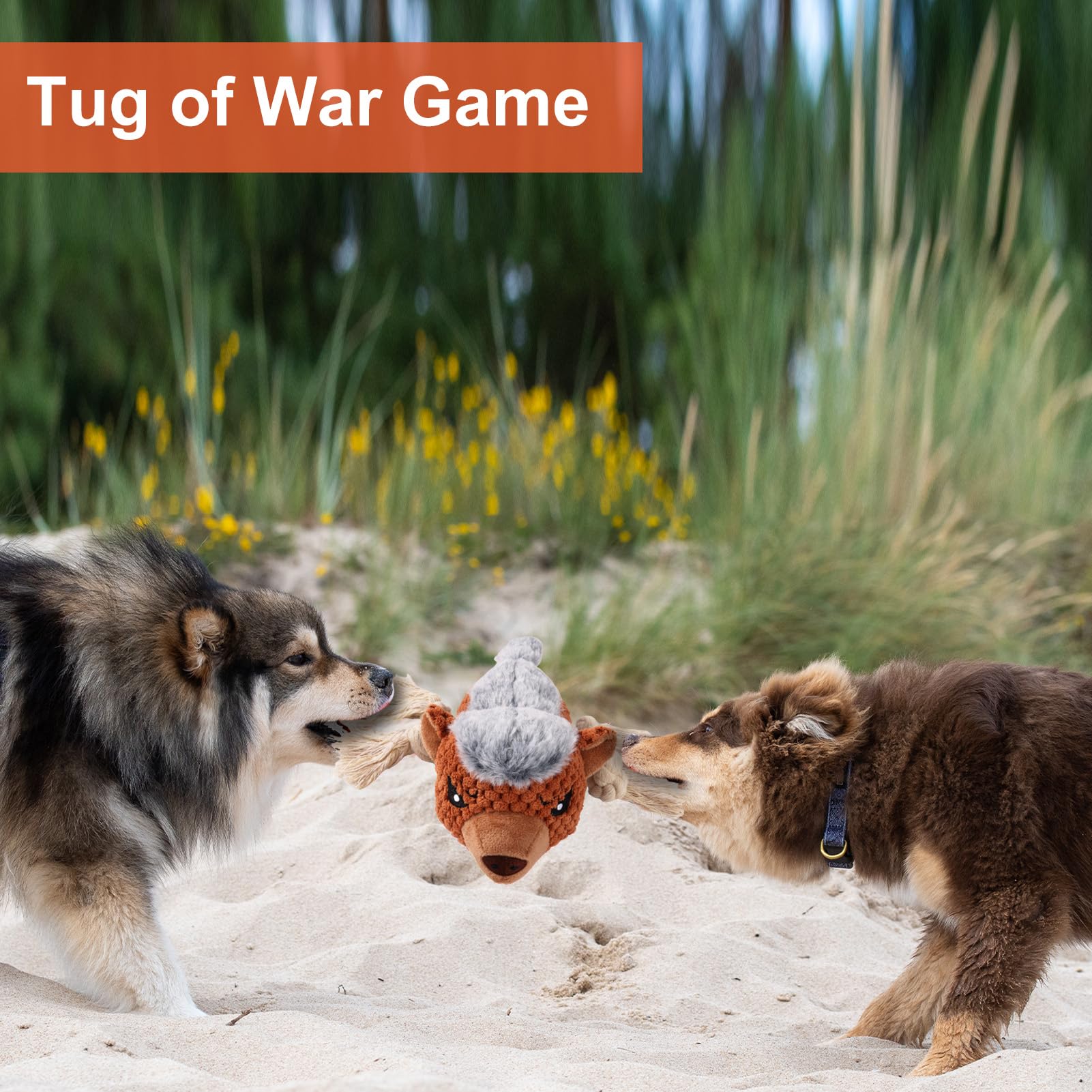 Letsmeet Juguete para perros de fácil limpieza, superficie lavable tras juego.