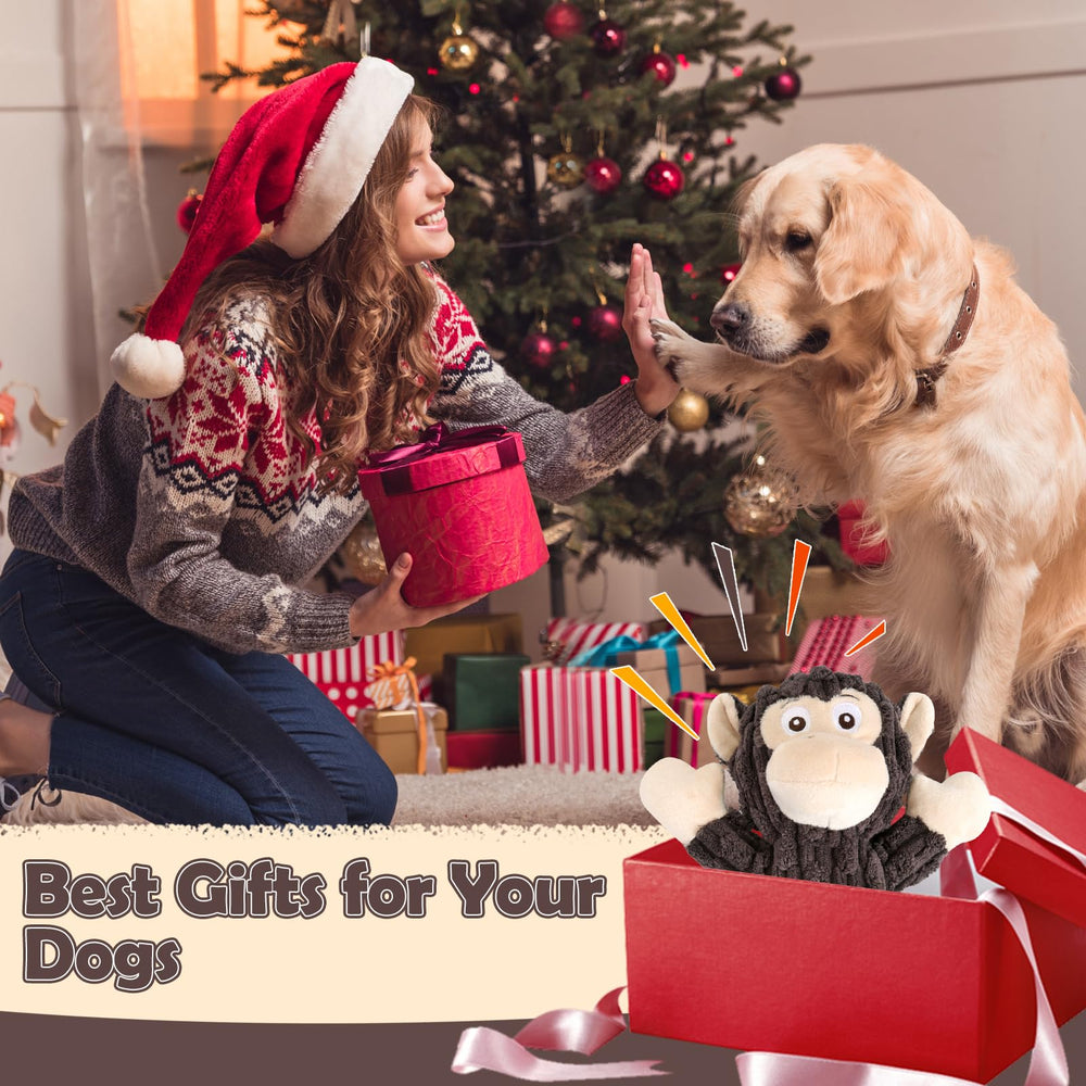 Letsmeet regalo perfecto para amantes de perros y sus mascotas