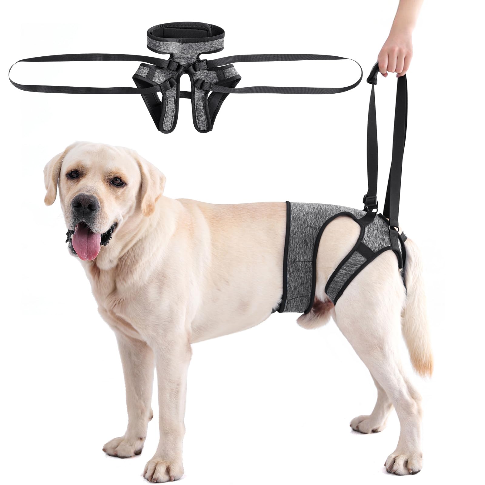 LIANZIMAU arnés para perro grande con soporte de patas traseras para comodidad.