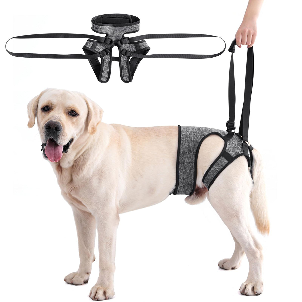 LIANZIMAU arnés para perro grande con soporte de patas traseras para comodidad.