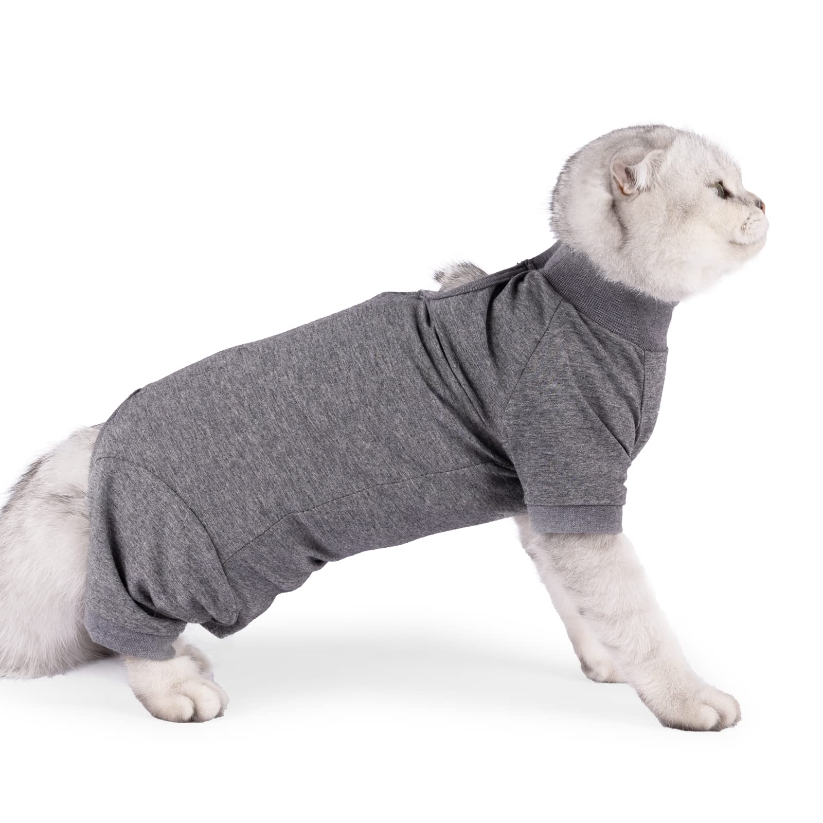 LIANZIMAU protection abdomen chat - prévention des irritations post chirurgie
