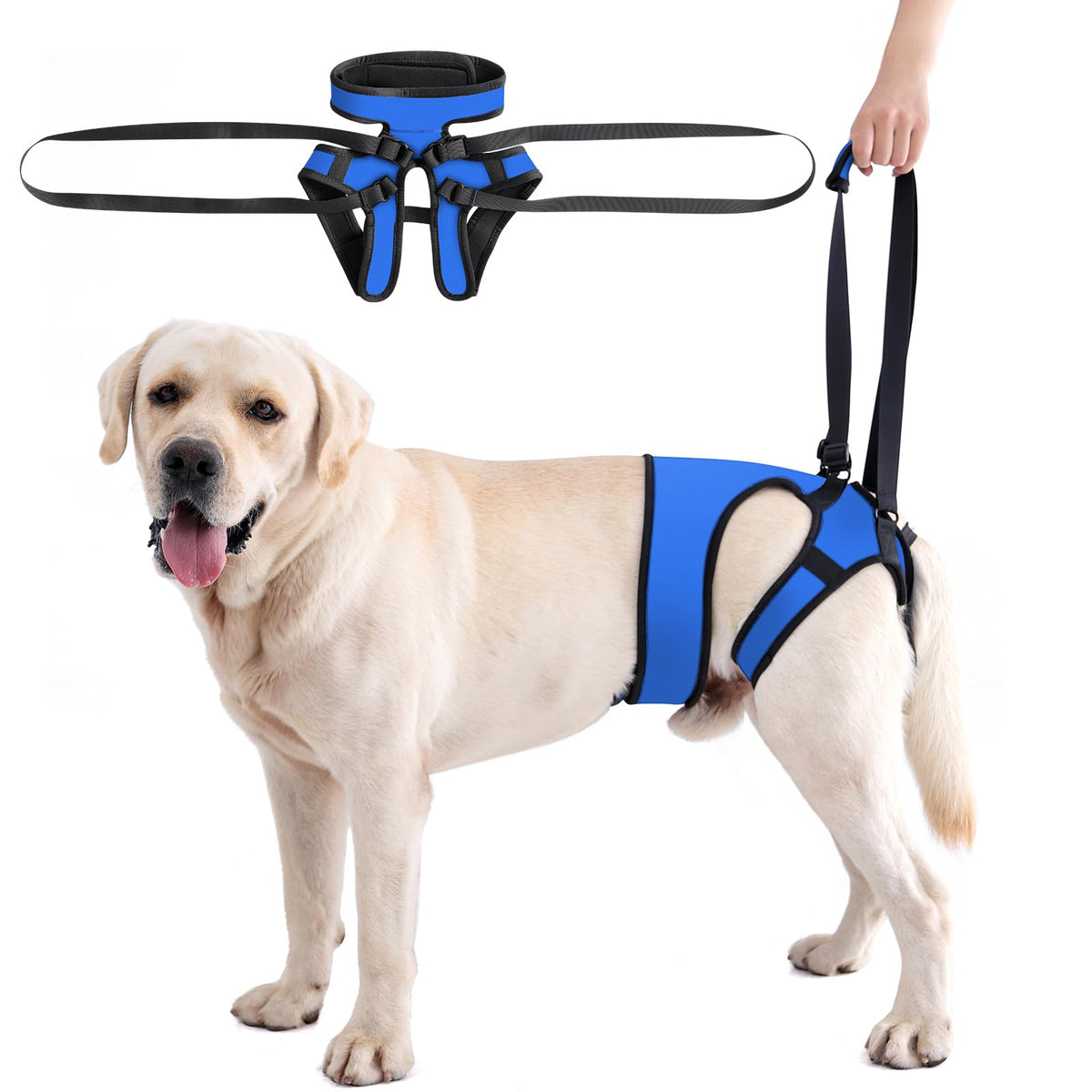 LIANZIMAU Sling para perros grandes, apoyo estable en patas traseras para movilidad
