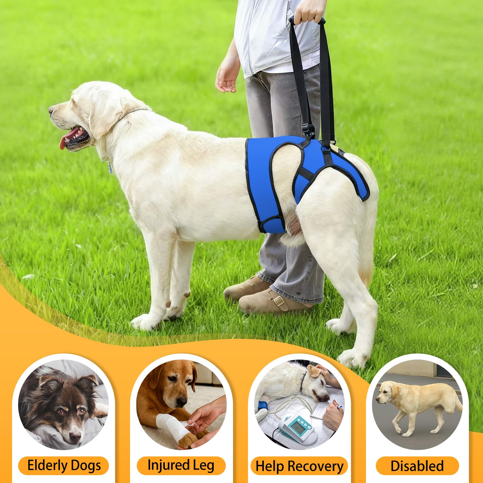 LIANZIMAU Sling: ideal para perros senior durante paseos diarios