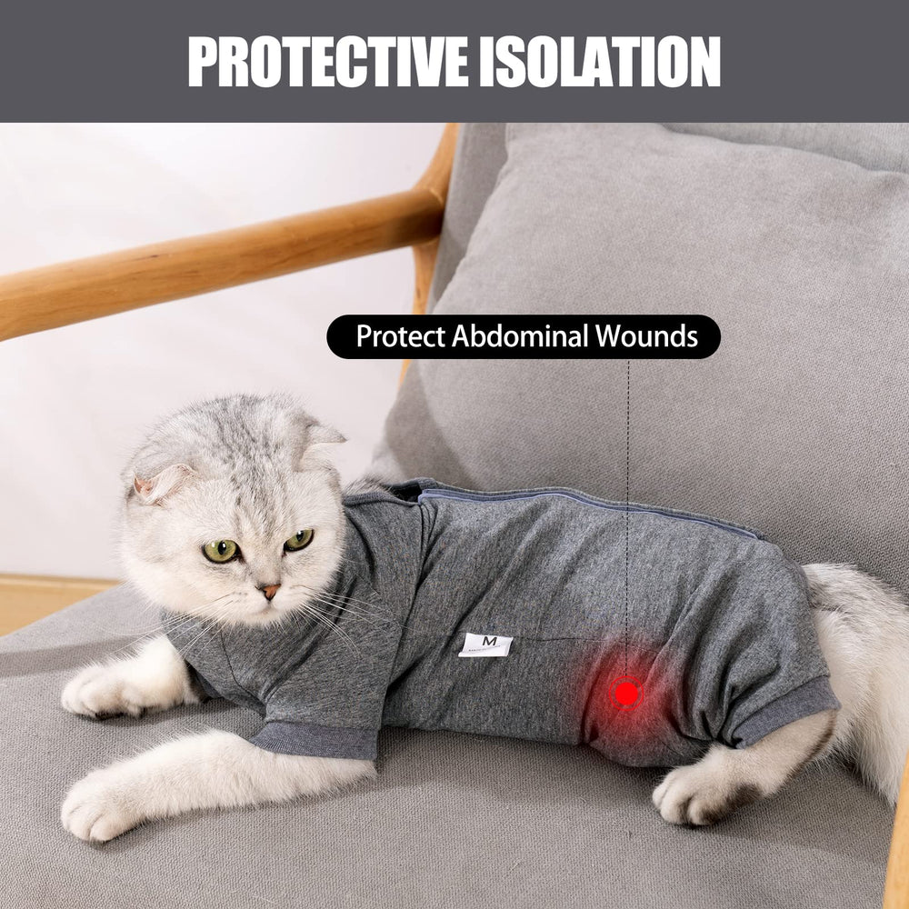 LIANZIMAU tailles disponibles chat - ajustement sûr et pratique