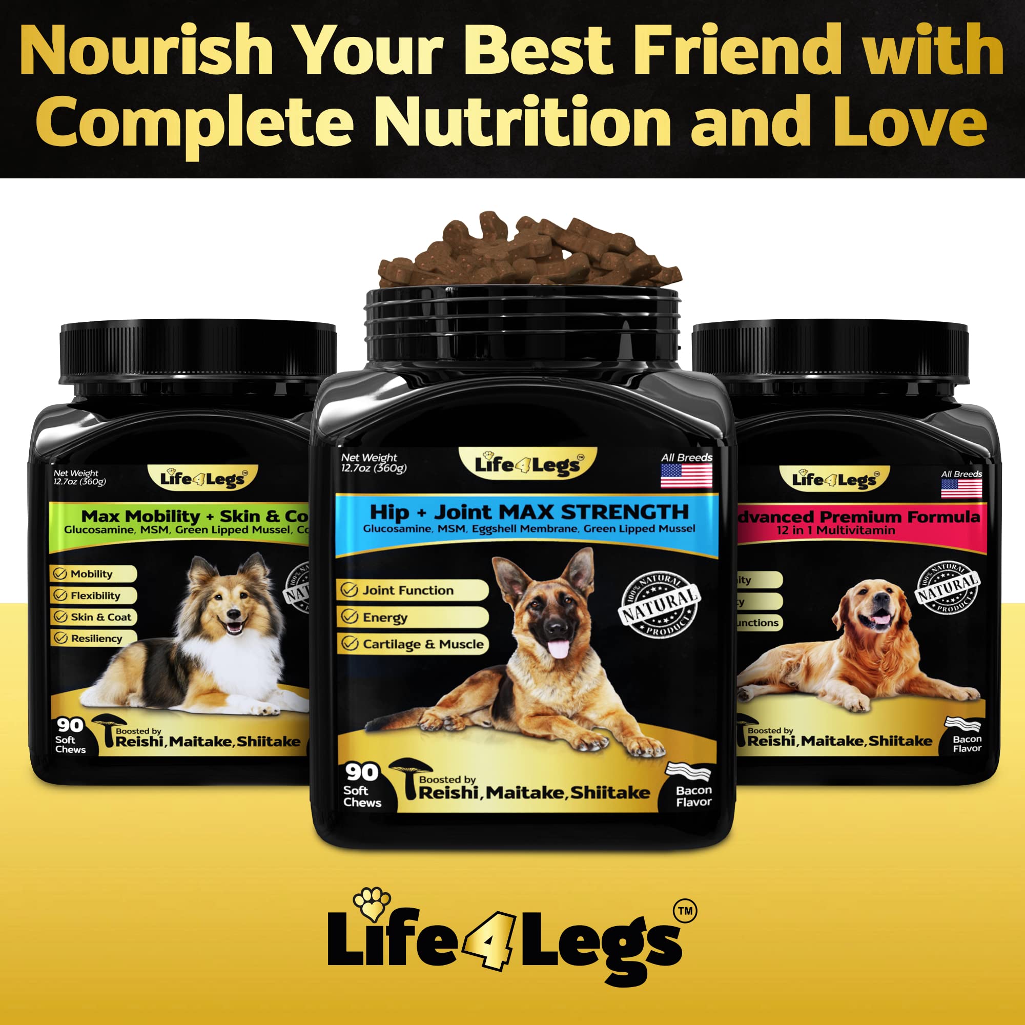 Life4Legs beneficios movilidad diaria: favorece una rutina activa para perros.
