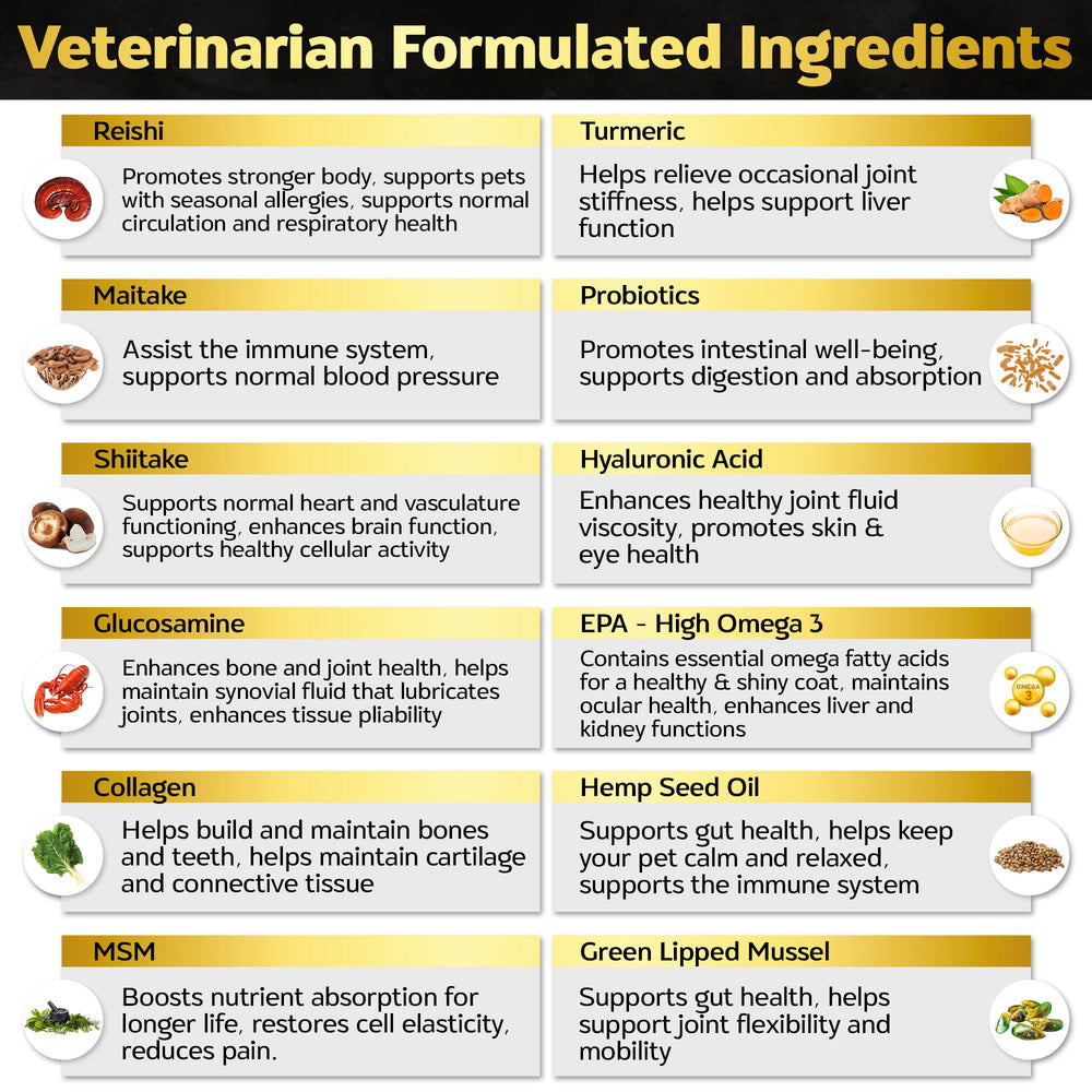 Life4Legs masticables para todas las razas: apto para perros pequeños, medianos y grandes.