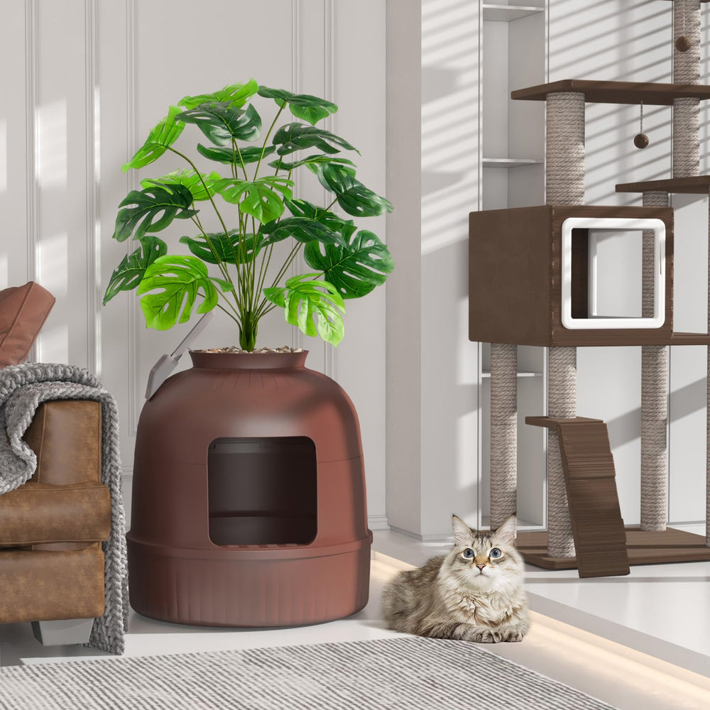 Lifewit: borde de entrada suave para gatos mayores y sensibles.
