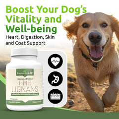 Lignans For Life HMR Lignans 20mg, frasco de 90 cápsulas para perros