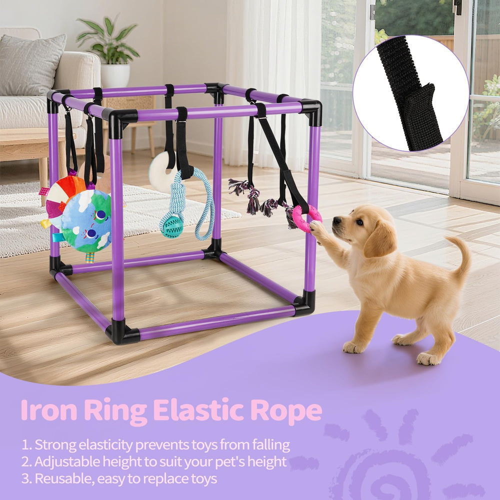 Liitrton Gimnasio para Cachorros, montaje rápido sin herramientas, ahorro de tiempo.