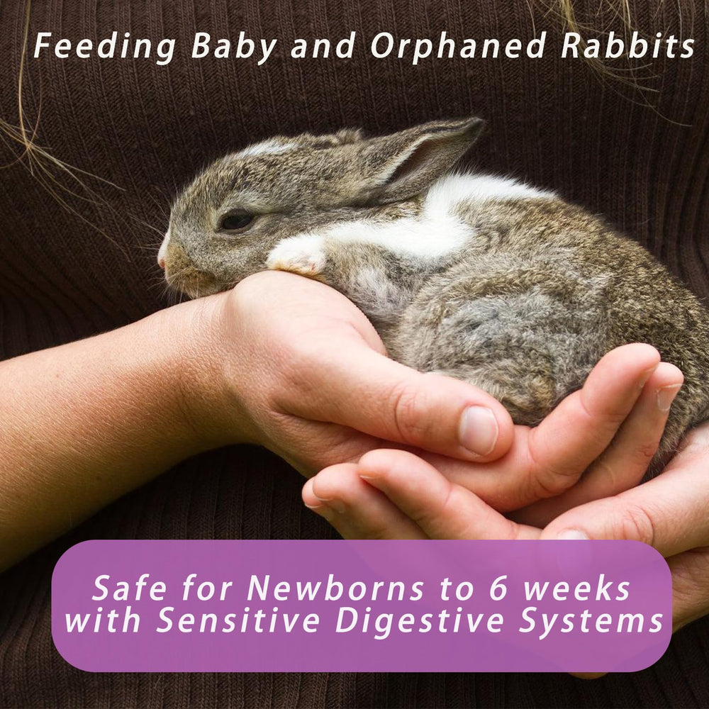 Liovsiso cucharita de medición 5 g para medir porciones adecuadas.