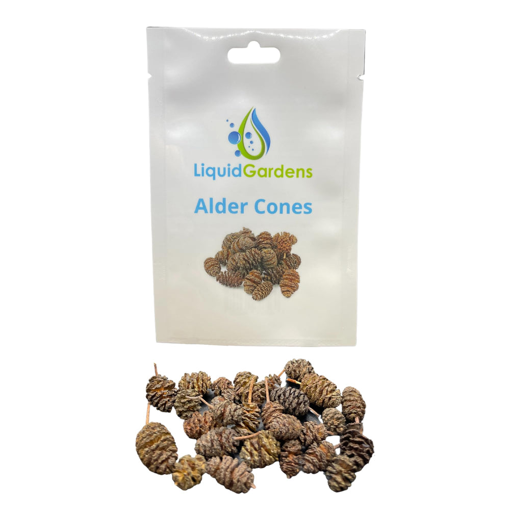 Liquid Gardens Alder Cones en estuche de 25, acondicionan el agua.
