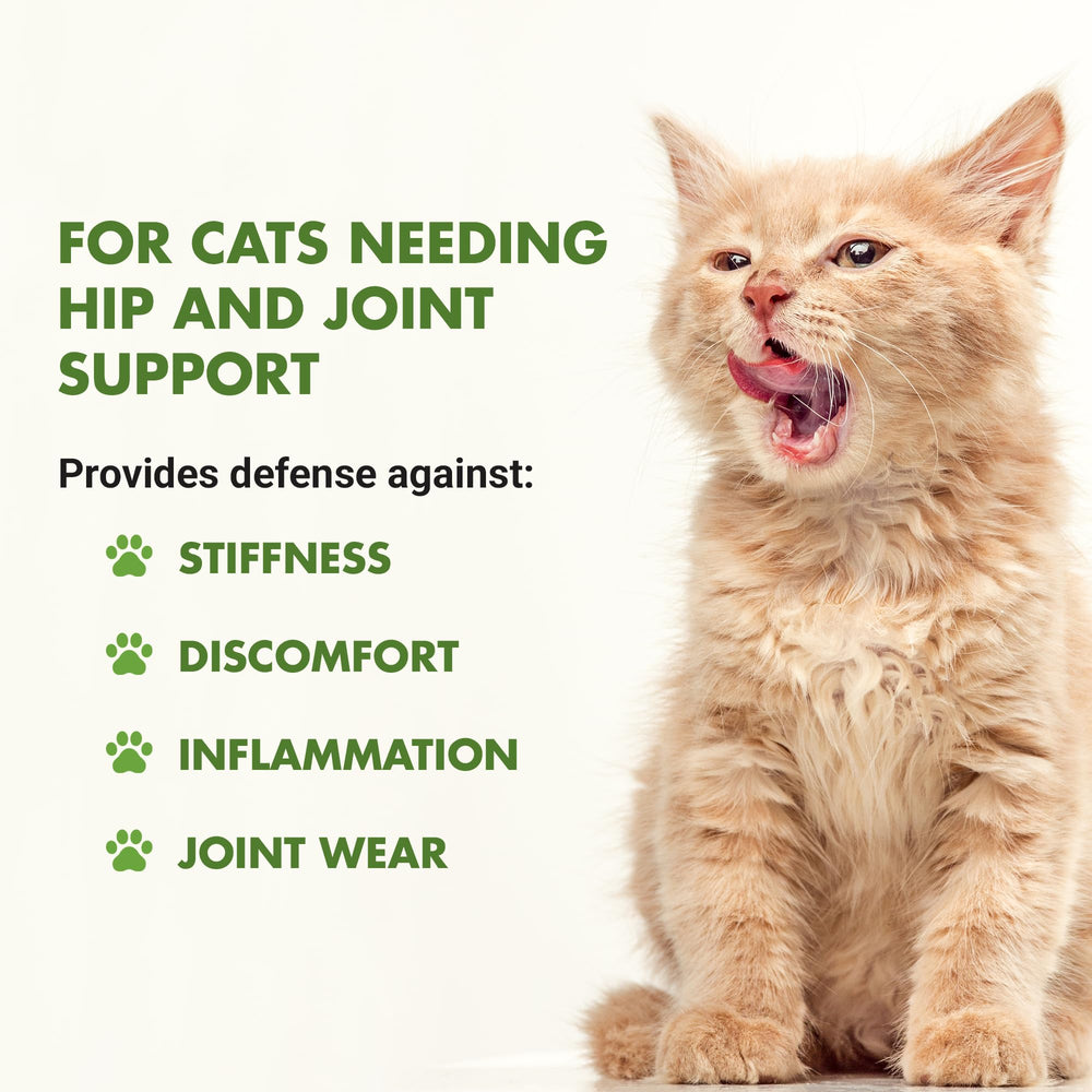 LIQUID-VET gato: dosis mezclada con comida para facilitar el cuidado articular