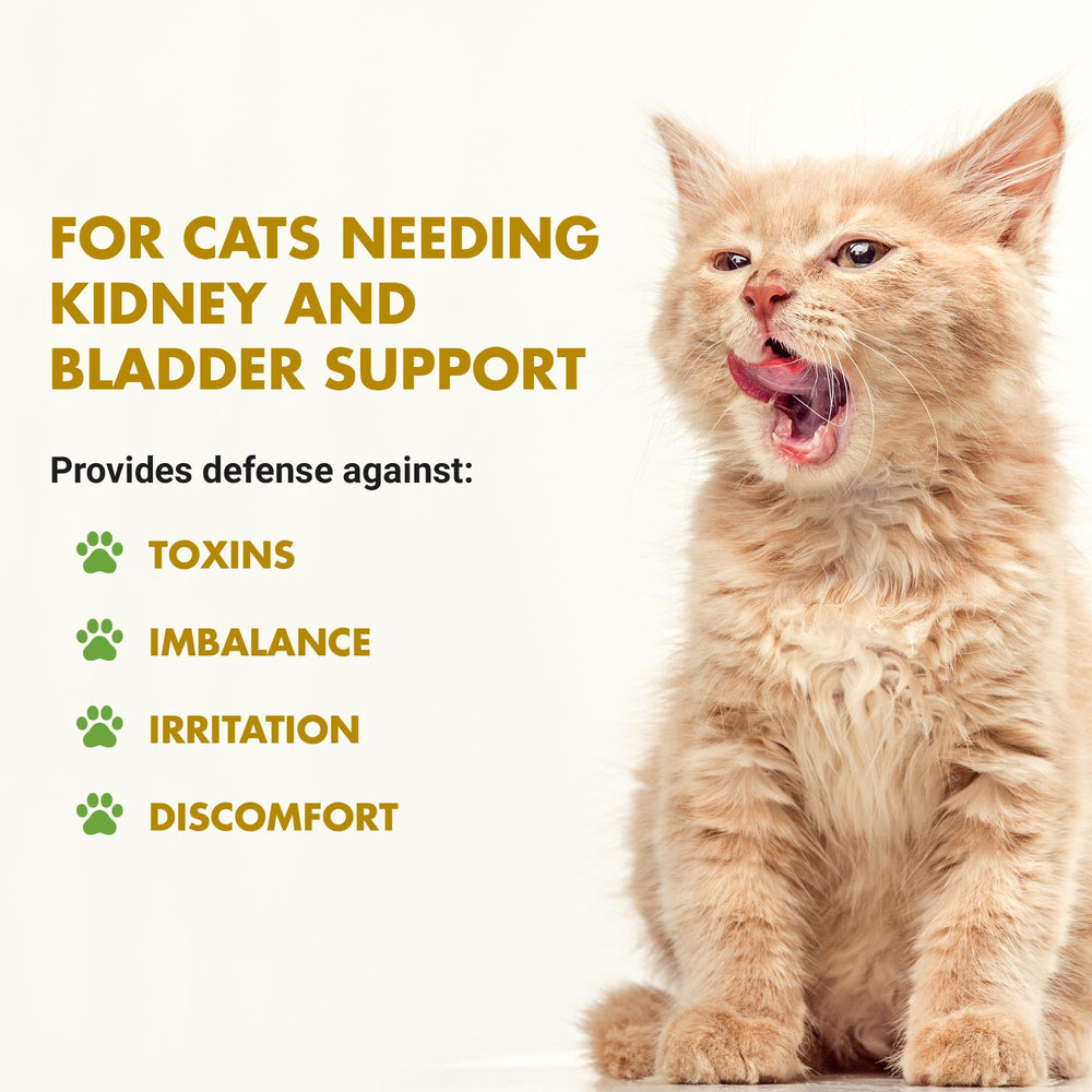 LIQUID-VET sabor pescado 8 onzas para gatos, fácil administración.