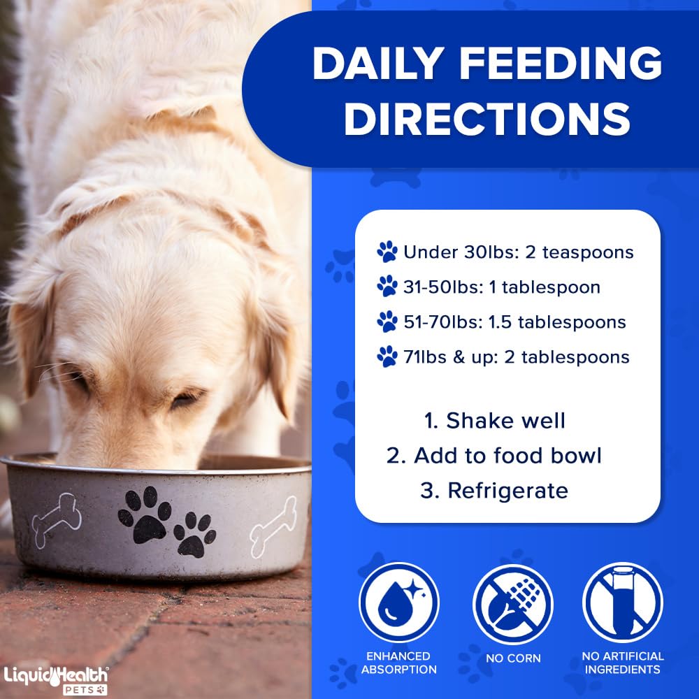 LIQUIDHEALTH K9 Complete: perro activo con pelaje saludable gracias al suplemento.