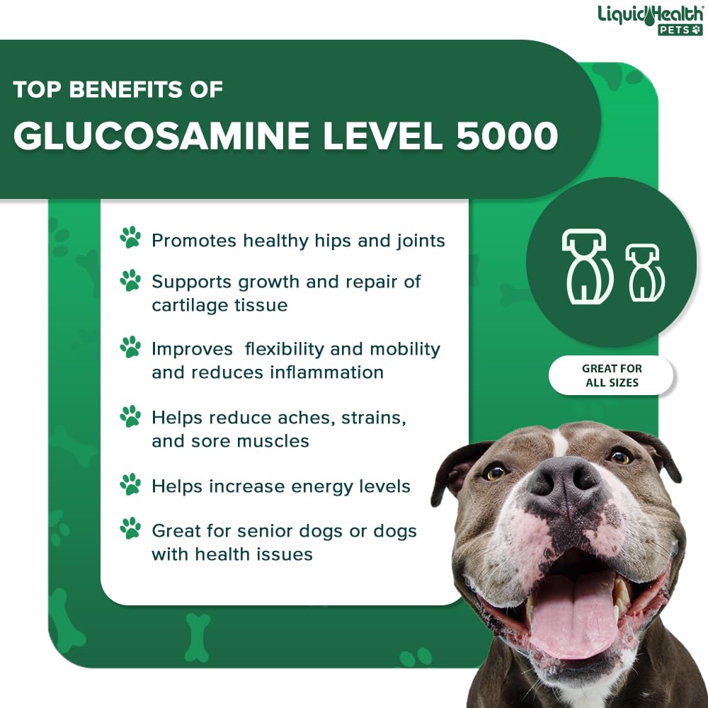 LIQUIDHEALTH Pets K9 Glucosamina, MSM para absorción mejorada y confort