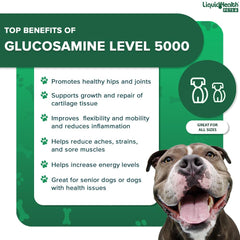 LIQUIDHEALTH Pets K9 Glucosamina, MSM para absorción mejorada y confort