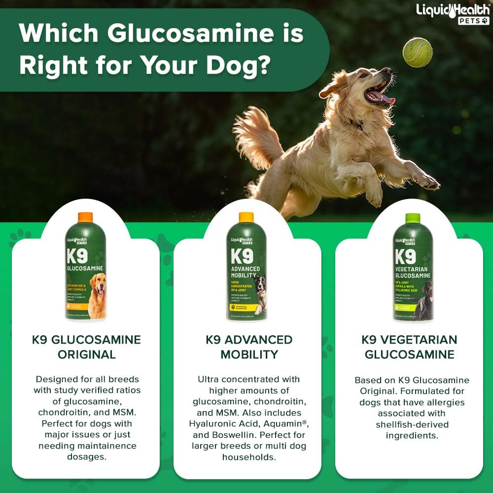 LIQUIDHEALTH uso con comida, dosis fácil para mascotas