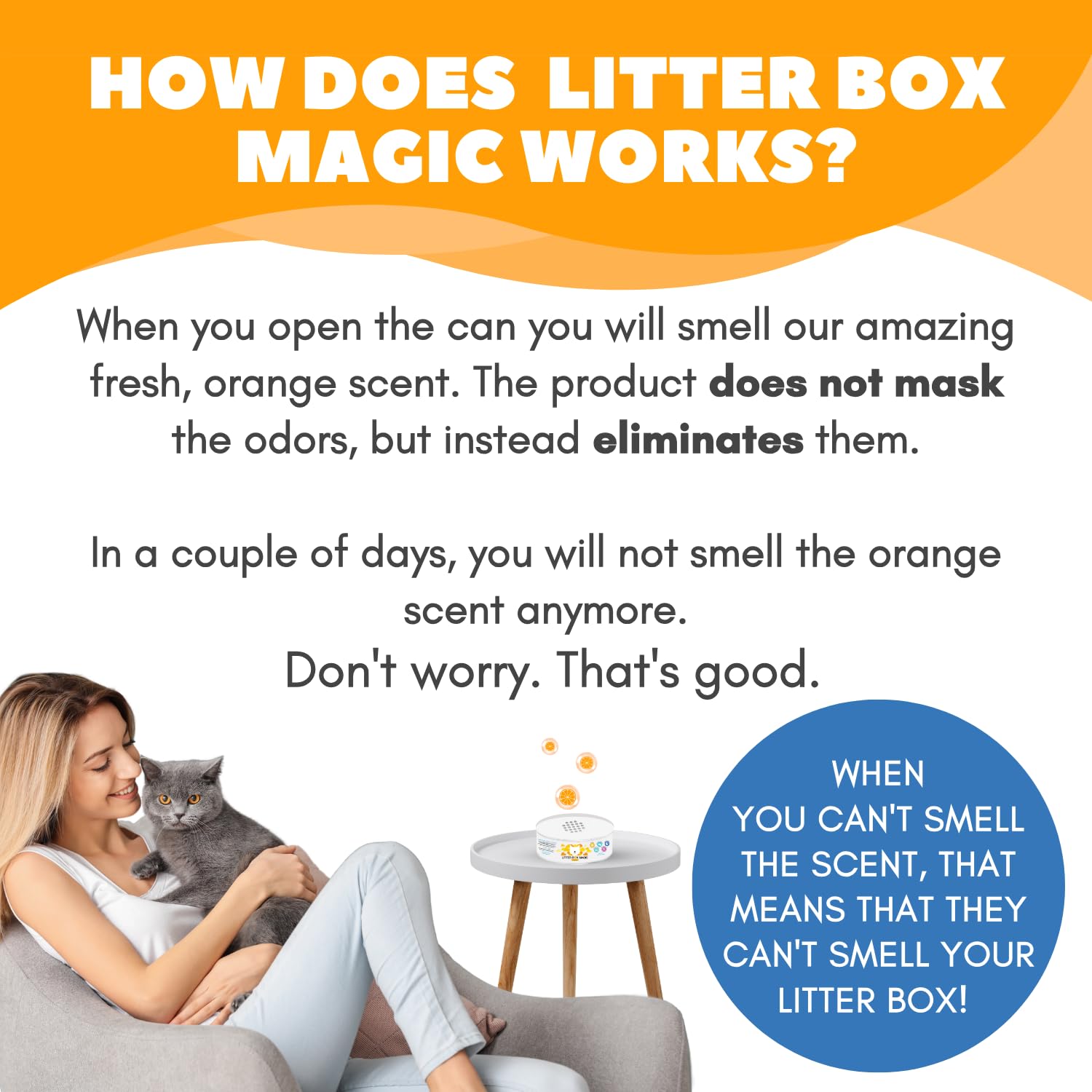 Litter Box Magic: envase a prueba de derrames para arenero.