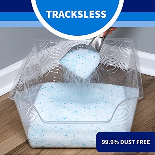 Litter Pearls Tracksless con Odorbond controla olores al contacto.