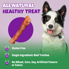 Lively Tails trachea de res con glucosamina: posible apoyo a articulaciones