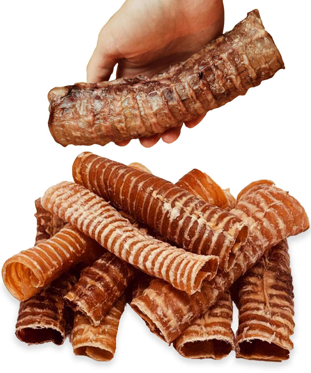 Lively Tails trachea de res grande: posible apoyo articular y masticación satisfactoria