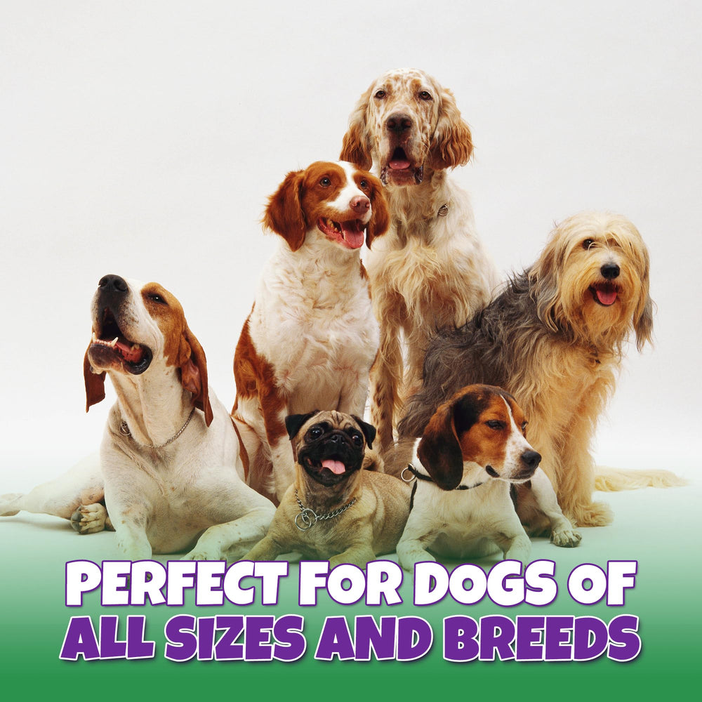 Lively Tails trachea de res hecha en EE.UU.: calidad y seguridad