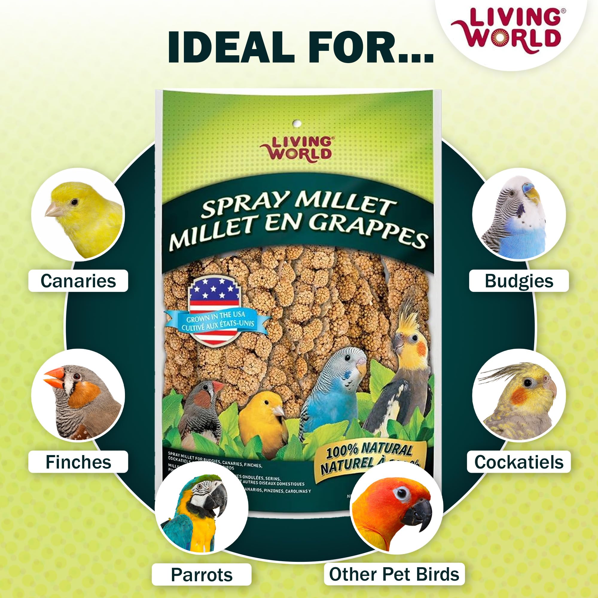 Living World mijo en aerosol: pinzones mordisqueando en plato