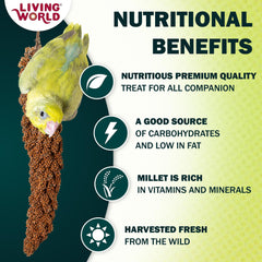 Living World snack-natural-para-pájaros: sabor auténtico y nutrición diaria.