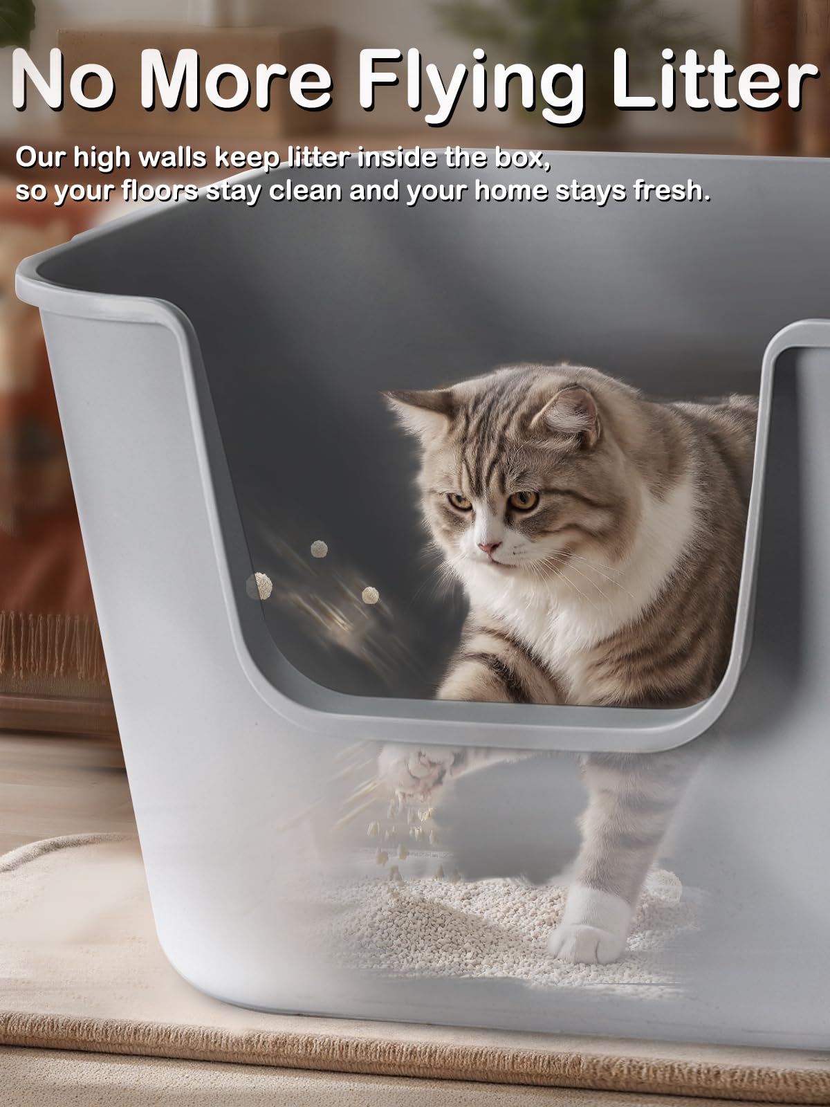 LivLab Mker caja para gatos base estable y asas laterales para transporte