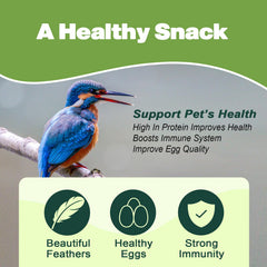 Gusanos secos LIWII para aves salvajes, promueven energía y apetito.