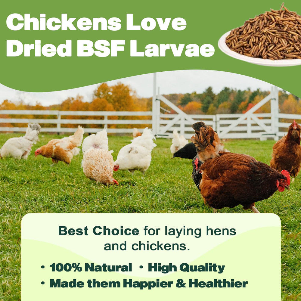 LIWII larvas uso diario para aves, mezcla fácil con comida