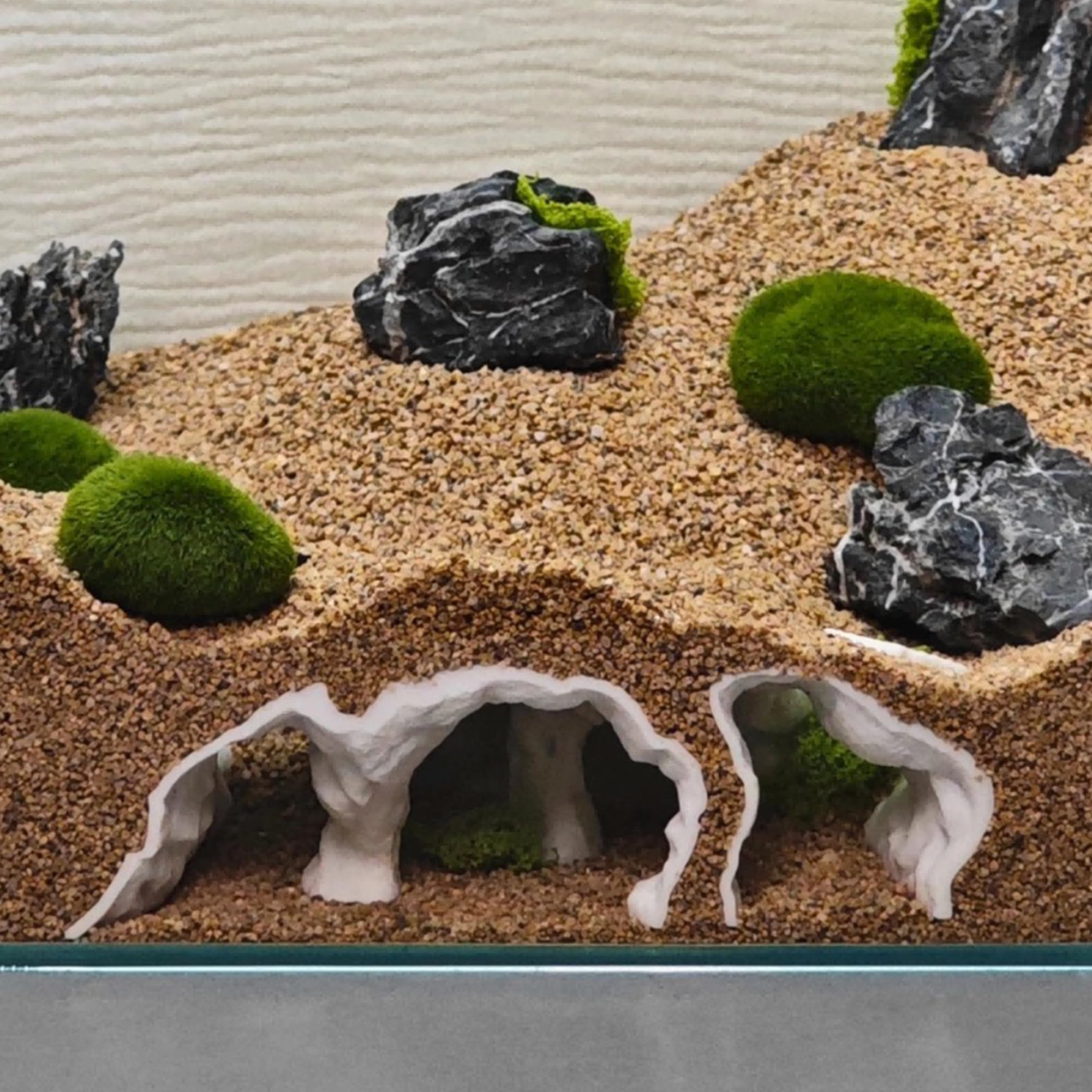 LIYAOLI cueva-túnel con ventanas de visualización para observar comportamientos.