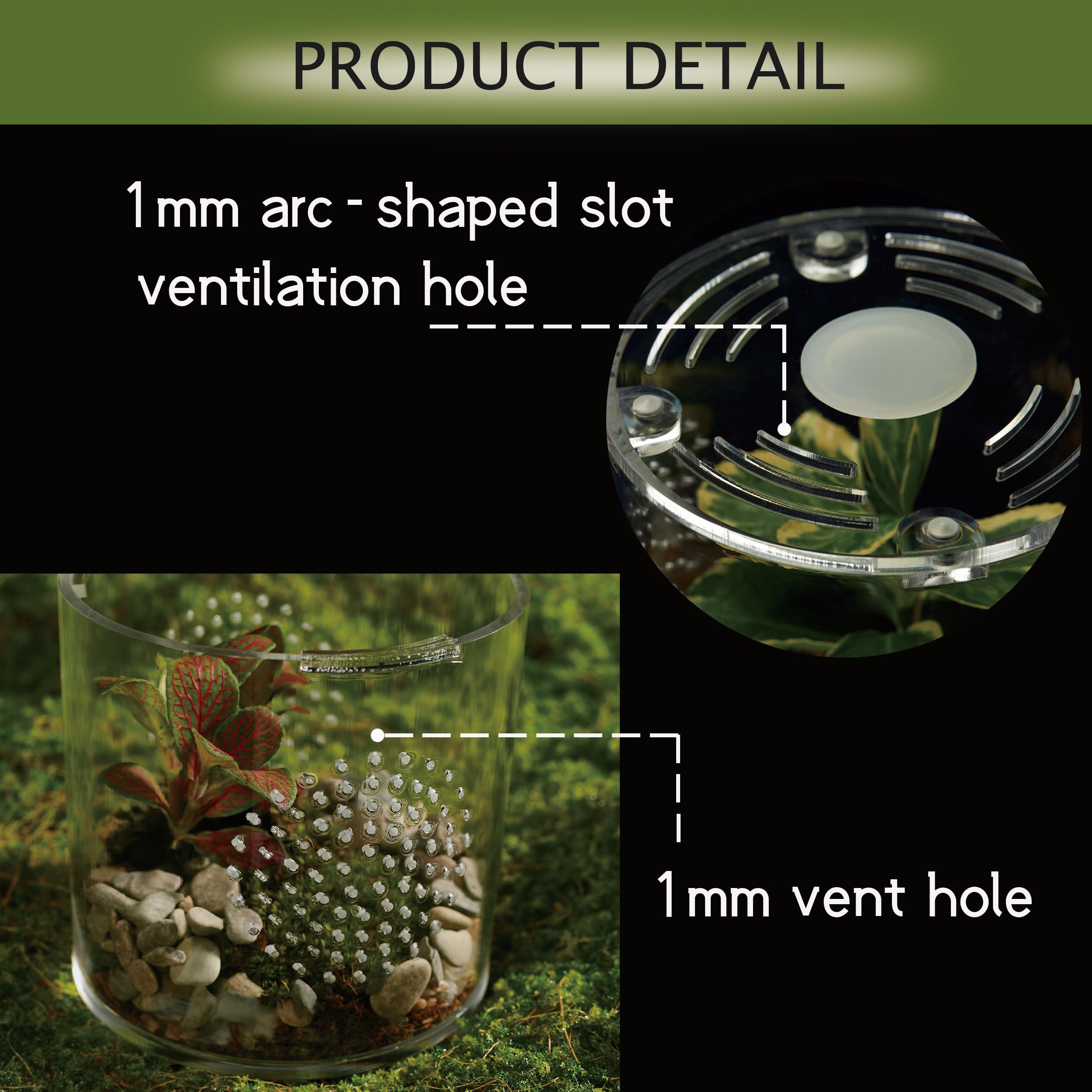 Terrario acrilico LIZ QNNALY para reptiles grandes, diseno estable.
