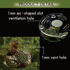 Terrario acrilico LIZ QNNALY para reptiles grandes, diseno estable.